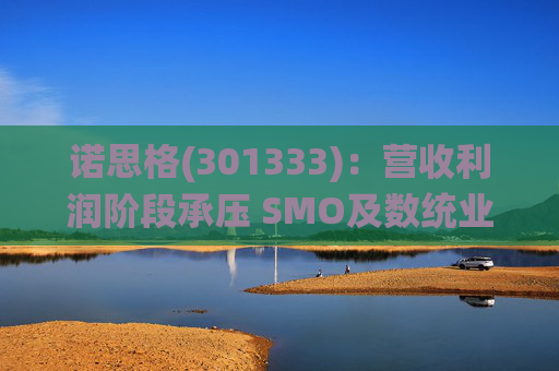 诺思格(301333)：营收利润阶段承压 SMO及数统业务保持稳健增长  第1张