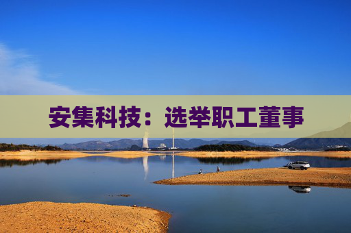 安集科技:选举职工董事