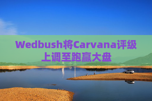 Wedbush将Carvana评级上调至跑赢大盘