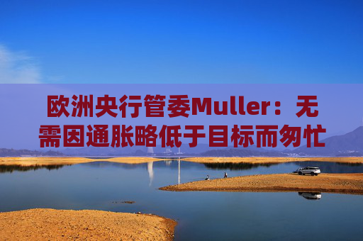 欧洲央行管委Muller:无需因通胀略低于目标而匆忙降息 第1张 欧洲央行管委Muller:无需因通胀略低于目标而匆忙降息 第1张