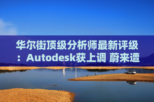 华尔街顶级分析师最新评级：Autodesk获上调 蔚来遭下调