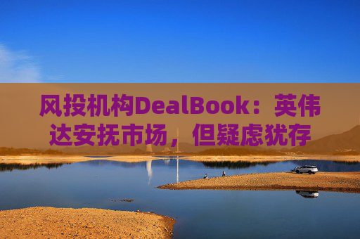 风投机构DealBook：英伟达安抚市场，但疑虑犹存