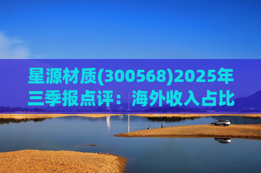 星源材质(300568)2025年三季报点评：海外收入占比提升 盈利水平改善