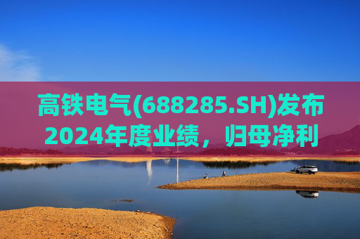 高铁电气(688285.SH)发布2024年度业绩,归母净利润4513.31万元,同比下降18.13%