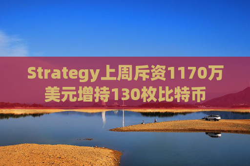 Strategy上周斥资1170万美元增持130枚比特币