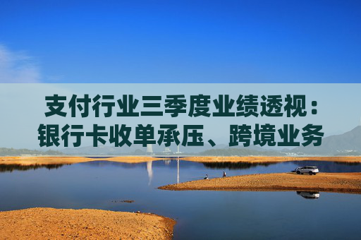 支付行业三季度业绩透视：银行卡收单承压、跨境业务增长强劲