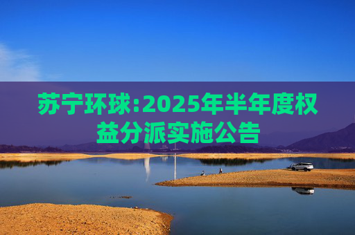 苏宁环球:2025年半年度权益分派实施公告  第1张