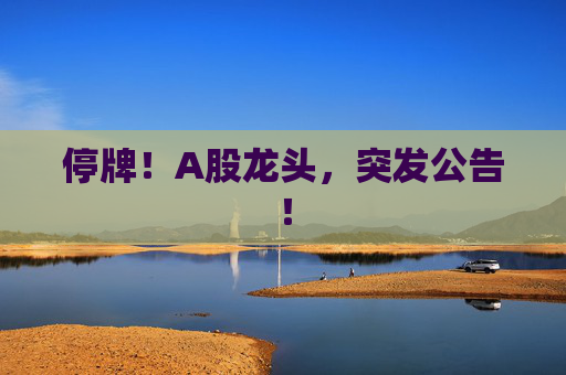 停牌！A股龙头，突发公告！
