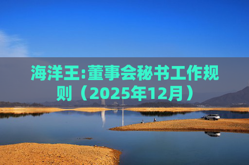 海洋王:董事会秘书工作规则（2025年12月）