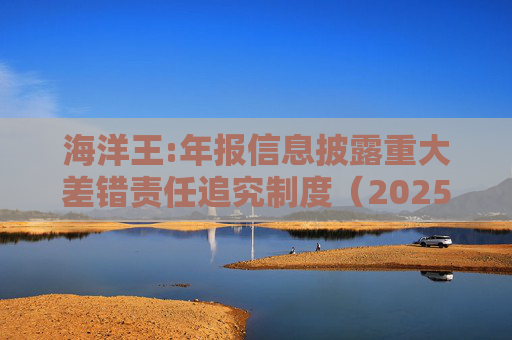 海洋王:年报信息披露重大差错责任追究制度（2025年12月）