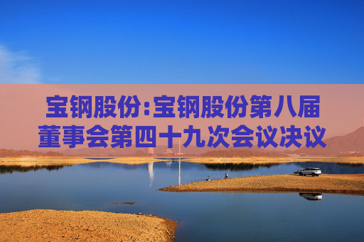 宝钢股份:宝钢股份第八届董事会第四十九次会议决议公告