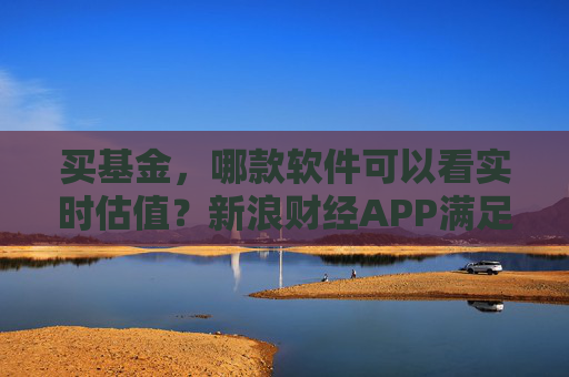 买基金，哪款软件可以看实时估值？新浪财经APP满足你的投资需求  第1张