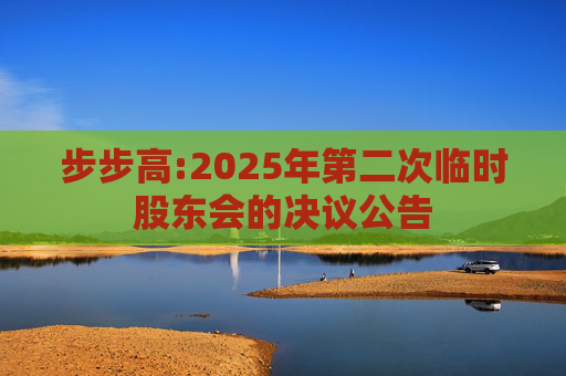 步步高:2025年第二次临时股东会的决议公告