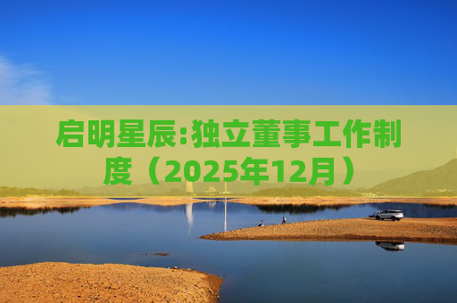启明星辰:独立董事工作制度（2025年12月）