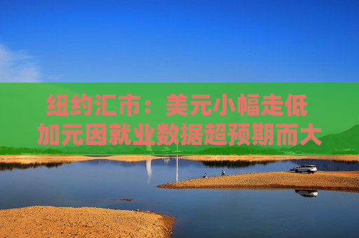 纽约汇市：美元小幅走低 加元因就业数据超预期而大幅上涨