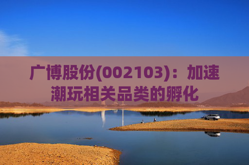 广博股份(002103)：加速潮玩相关品类的孵化