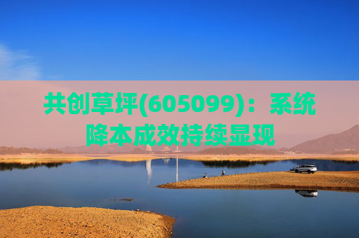 共创草坪(605099):系统降本成效持续显现