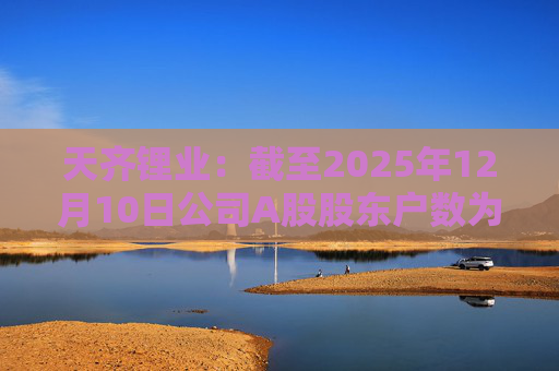 天齐锂业：截至2025年12月10日公司A股股东户数为307706户
