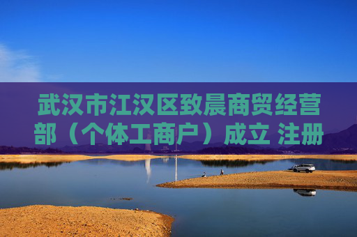 武汉市江汉区致晨商贸经营部（个体工商户）成立 注册资本1万人民币  第1张