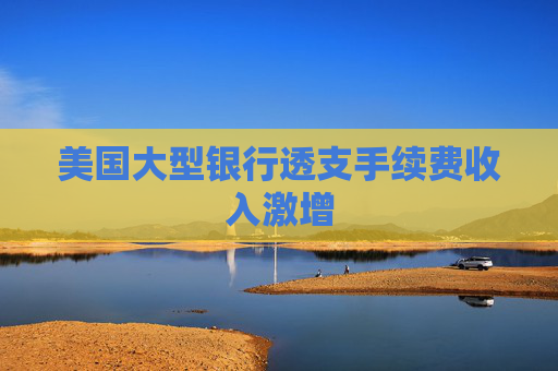 美国大型银行透支手续费收入激增