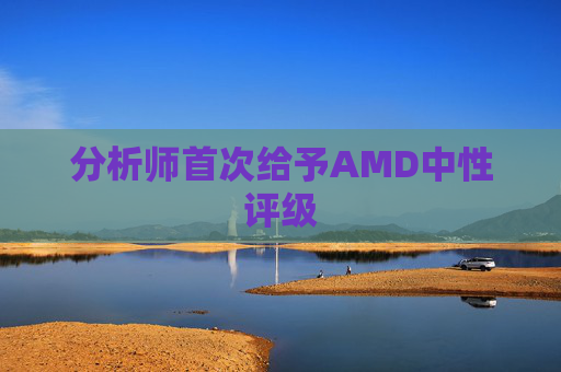 分析师首次给予AMD中性评级  第1张