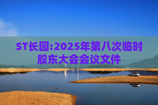 ST长园:2025年第八次临时股东大会会议文件