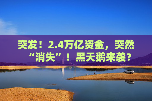 突发！2.4万亿资金，突然“消失”！黑天鹅来袭？