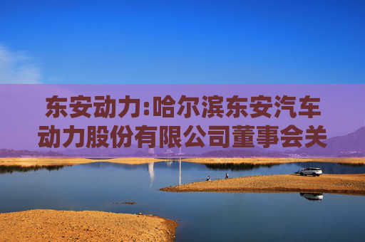 东安动力:哈尔滨东安汽车动力股份有限公司董事会关于独立董事独立性情况的评估报告  第1张