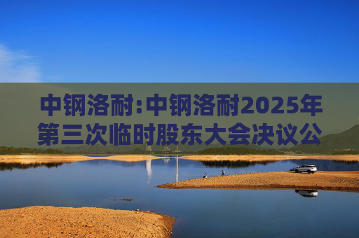 中钢洛耐:中钢洛耐2025年第三次临时股东大会决议公告