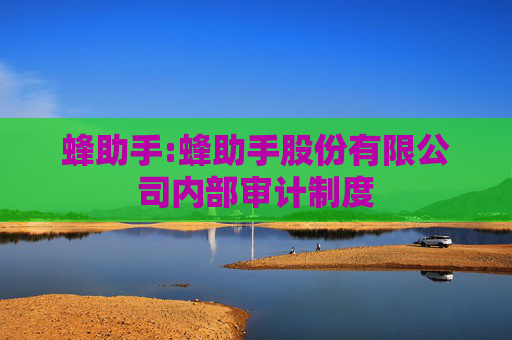 蜂助手:蜂助手股份有限公司内部审计制度