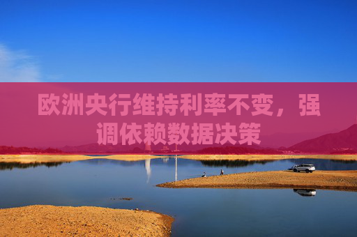 欧洲央行维持利率不变,强调依赖数据决策