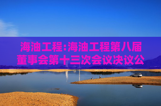 海油工程:海油工程第八届董事会第十三次会议决议公告