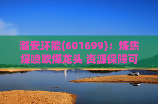 潞安环能(601699)：炼焦煤喷吹煤龙头 资源保障可持续发展