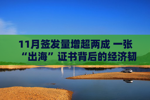 11月签发量增超两成 一张“出海”证书背后的经济韧性