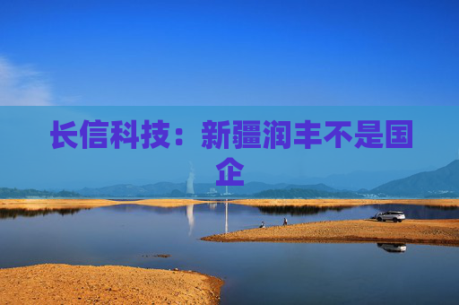 长信科技：新疆润丰不是国企  第1张