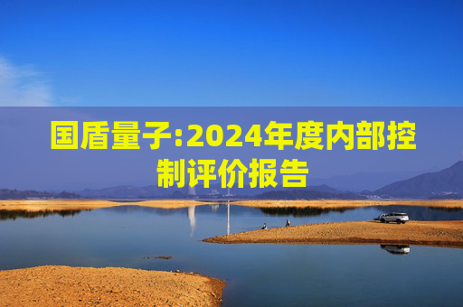 国盾量子:2024年度内部控制评价报告  第1张