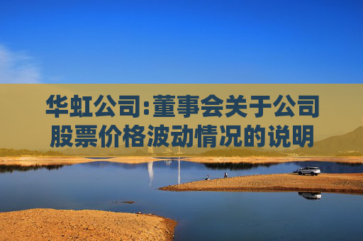 华虹公司:董事会关于公司股票价格波动情况的说明
