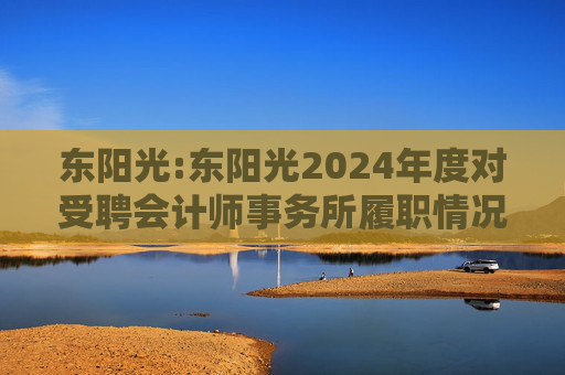 东阳光:东阳光2024年度对受聘会计师事务所履职情况的评估报告