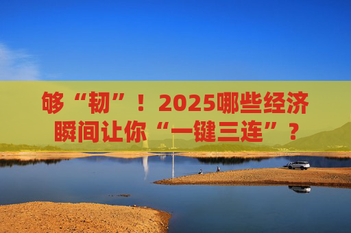 够“韧”！2025哪些经济瞬间让你“一键三连”？