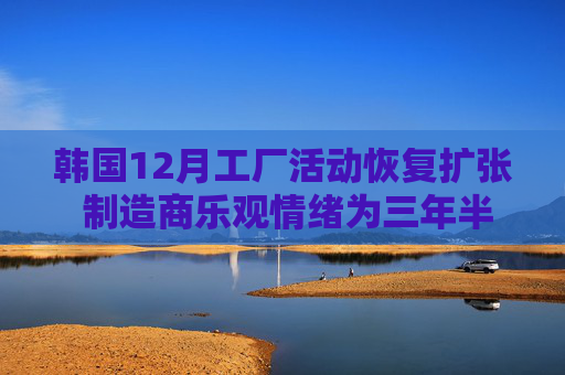 韩国12月工厂活动恢复扩张 制造商乐观情绪为三年半最高