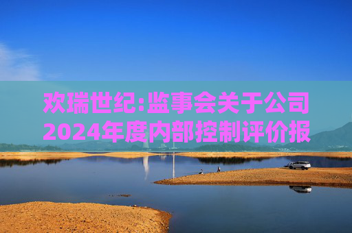欢瑞世纪:监事会关于公司2024年度内部控制评价报告的意见  第1张