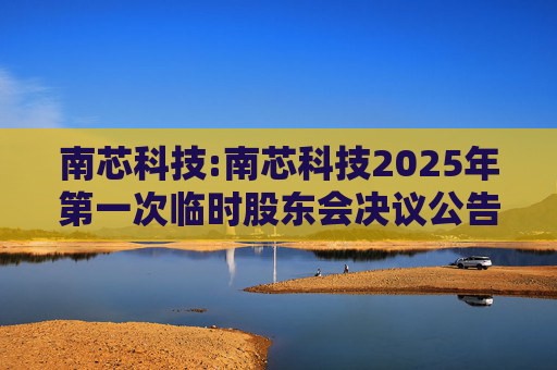 南芯科技:南芯科技2025年第一次临时股东会决议公告  第1张