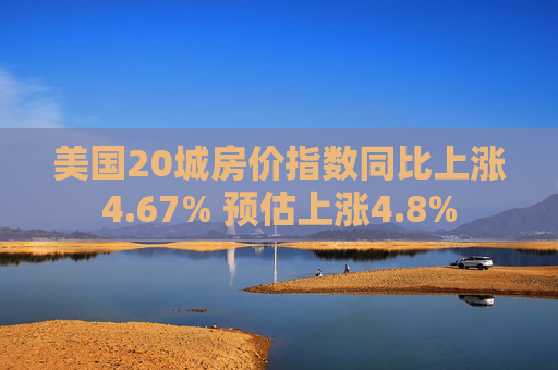 美国20城房价指数同比上涨4.67% 预估上涨4.8%