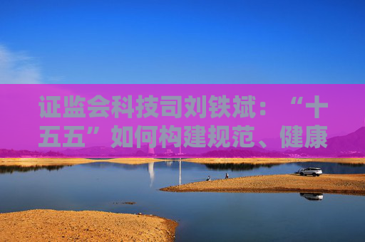 证监会科技司刘铁斌：“十五五”如何构建规范、健康的资本市场人工智能生态体系