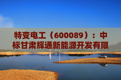 特变电工（600089）：中标甘肃辉通新能源开发有限公司采购项目，中标金额为3305.00万元