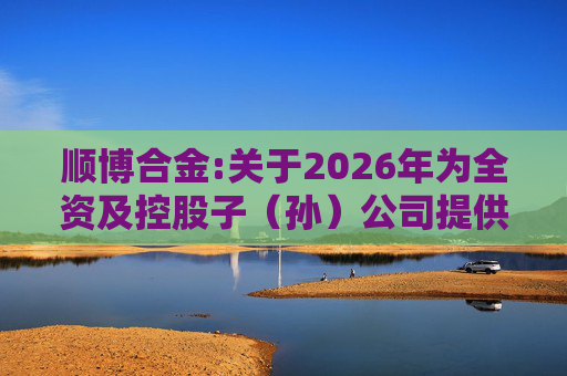 顺博合金:关于2026年为全资及控股子(孙)公司提供担保的公告
