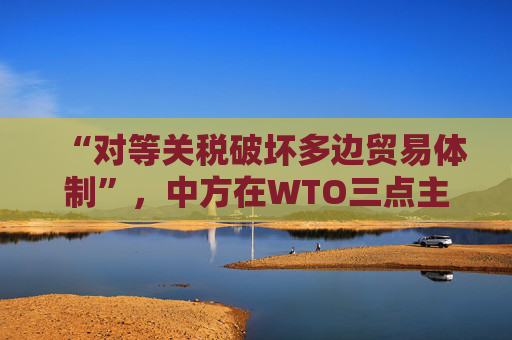 “对等关税破坏多边贸易体制”，中方在WTO三点主张发言，引发广泛呼应