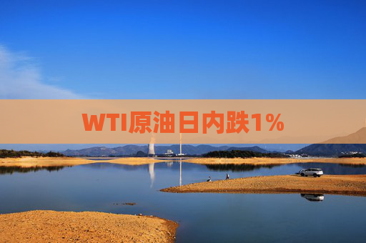 WTI原油日内跌1%