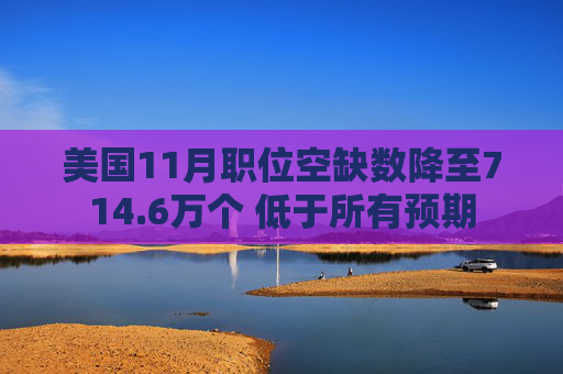 美国11月职位空缺数降至714.6万个 低于所有预期