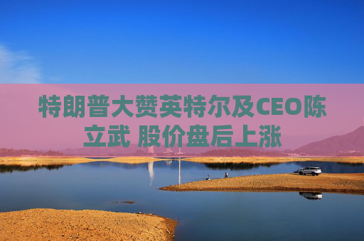 特朗普大赞英特尔及CEO陈立武 股价盘后上涨